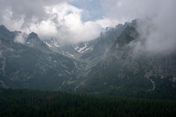 Forest Valley in High Tatras National Park Slovakia