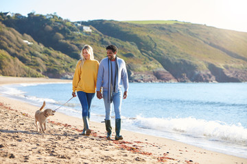Loving Couple Holding Hands As They Walk With Dog Along Shoreline On Winter Beach Vacation