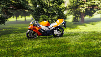 Fototapeta na wymiar Motorcycle on Grass in Nature
