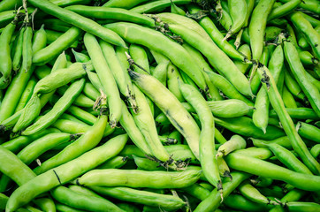 Organic fava bean (or broad bean) pods on display at farmer market in Washington, USA