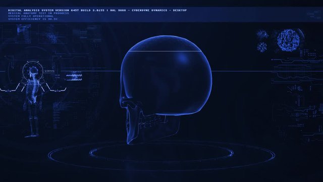 Futuristic HUD Screen Data Medical Skull Blue