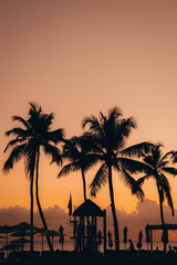 Obraz premium Palmtree beach view