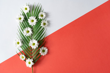 Creative layout made with palm leaf and white flowers on white and red background. Flat lay. Spring minimal concept.