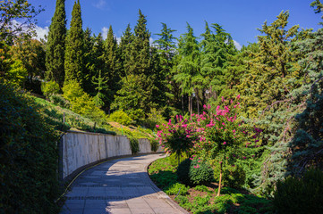 Sanatorium Aivazovsky in Partenit. Landscape Park Paradise. Cypress trees, cedars, pines, spruces and exotic trees and plants grow along paths and everywhere. Alushta, Russia, September, 2019: