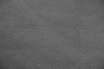  Genuine Leather. Gray background. Silver texture of leather material.