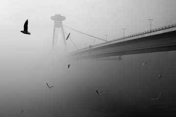 Seagulls Flying B Y Bridge Over River During Foggy Weather