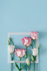 Creative composition of pink and white roses and paper card frame. Blue background. Flowerscape flat lay.