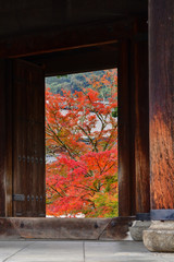 南禅寺の紅葉