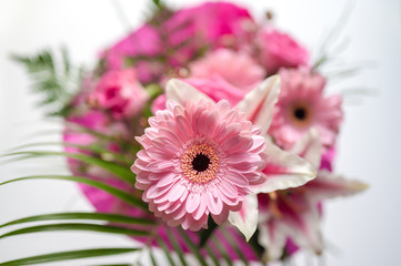 Schöner Blumenstrauss mit Gerbera in den Farben rosa, pink, und lila