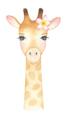 Giraffe Head Watercolor Illustration