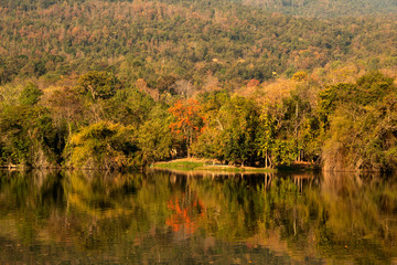 leke in autumn , mountain Chiang Mai Thailand ,nature forest
