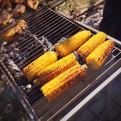 Golden grilled corn in the cob on a grille
