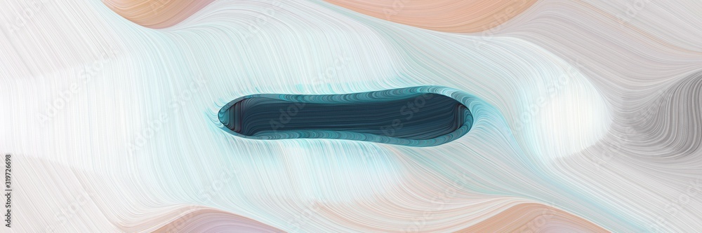 Poster artistic designed horizontal banner with light gray, dark slate gray and dark gray colors. dynamic curved lines with fluid flowing waves and curves