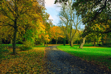 colorful Autum forest park,Northern Ireland