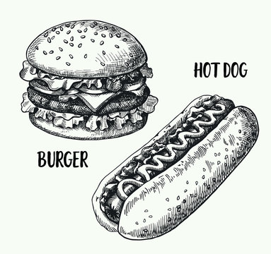 Hand drawn illustration of hamburger and hotdog. Set fast food.