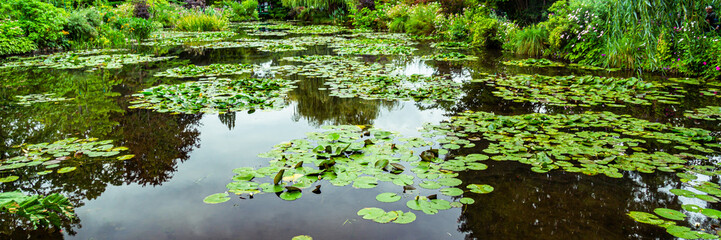 Claude Monet's water garden in Giverny, France