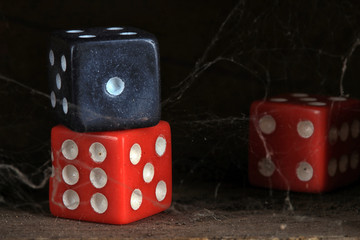 colored dice