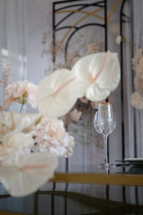 Decor for a luxury gala dinner. Table decorated with flowers of peonies, roses, gypsophila and calla lily in white and pink colors. Serving from plates, cutlery and glasses.