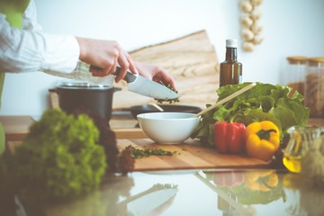 Unknown human hands cooking in kitchen. Woman slicing green onion. Healthy meal, and vegetarian food concept