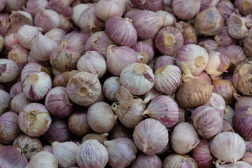 Garlic, spices and Thai herbs. Seasonal agricultural products in Thailand are sold in agricultural markets. Garlic is often used as an ingredient and flavored in food.