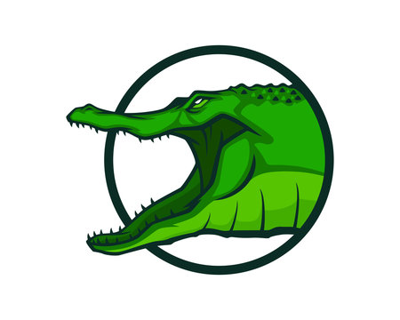 Crocodile symbol ,vector logo illustration