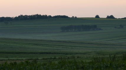 Sułoszowskie pola