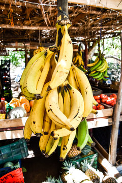 bunch of bananas on the market, photo as a background taken in Nicoya, Costa rica central america