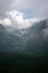 Obraz na płótnie Canvas Forest Valley in High Tatras National Park Slovakia