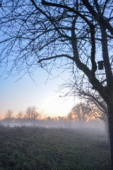 Fototapeta na wymiar Freudental, South of Germany, park of the Castle in fog
