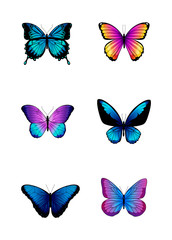 Fototapeta na wymiar Set of different colored butterflies. 