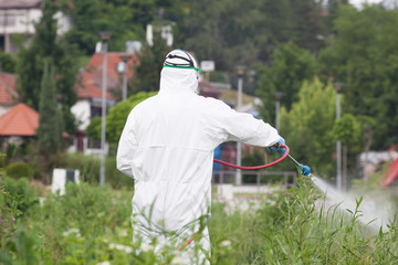 Pest control worker spraying insecticide