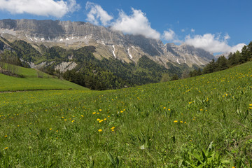 Gresse en vercors