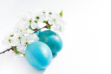 Easter background.  Blue easter eggs and white spring flowers on a white background close-up, soft focus