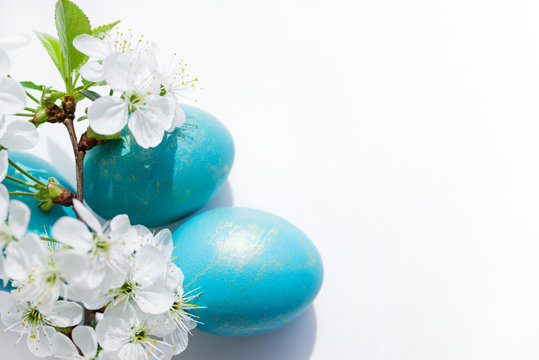 Easter background.  Blue easter eggs and white spring flowers on a white background close-up, soft focus