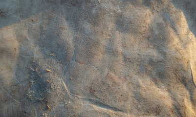 The back side of a deer hide makes a unique patterned background or texture with lots of copy space. Bokeh effect.
