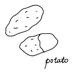 Hand drawn isolated food icon. Black outline illustration of vegetable. Potato icon. Potatoes.