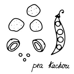 Hand drawn isolated indian food icon. Black outline illustration of indian dish. Indian snack pea kachori. 