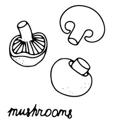 Hand drawn isolated food icon. Black outline illustration of mushrooms. Mushroom icon.