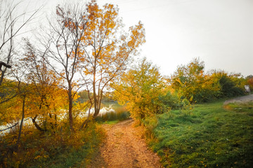 Naklejka premium Autumn road in the forest near the lake or river at sunset.