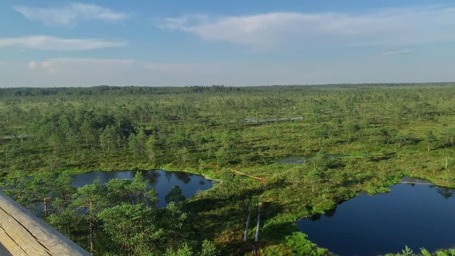 View of swamps from the tower
