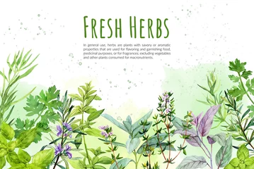 Poster Watercolkor bg with culinary herbs and plants © nurofina