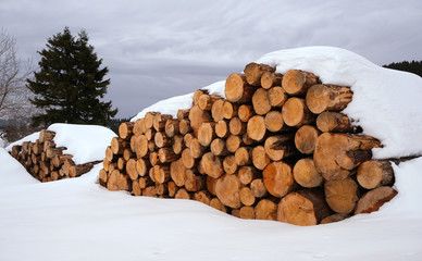 Pile of Winter Wood in Snow Cover