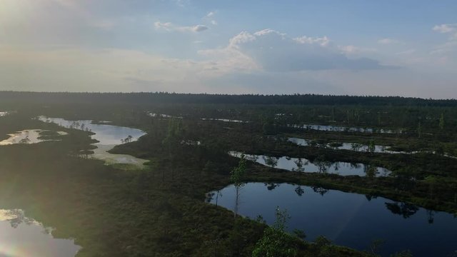 View of swamps from the tower