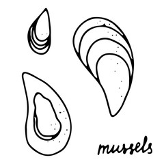 Hand drawn isolated seafood icon. Black outline illustration of mussels. Mussels icon.