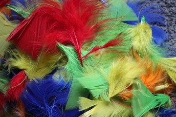 Feathers photos, royalty-free images, graphics, vectors & videos ...