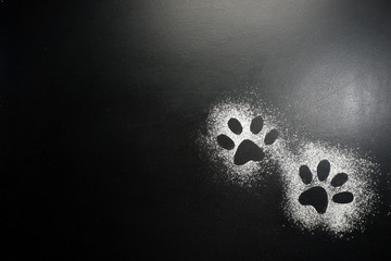 Traces of a cat or dog. Drawing on a black chalkboard