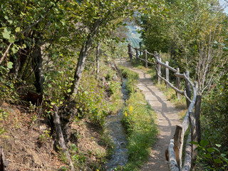 Wandern am Waalweg in unberührter Natur im Vinschgau (Südtirol)