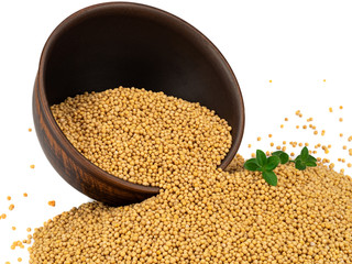 Mustard seeds in a plate and around isolated on a white background