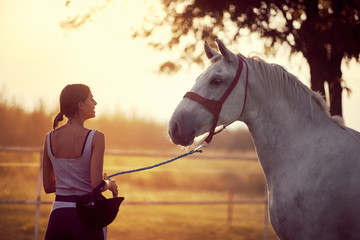 Woman leading her horse after a ride. Training on countryside, sunset golden hour. Freedom nature...