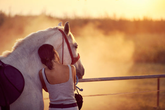 Woman rests her head on a horse, Fun on countryside, sunset golden hour. Freedom nature concept.